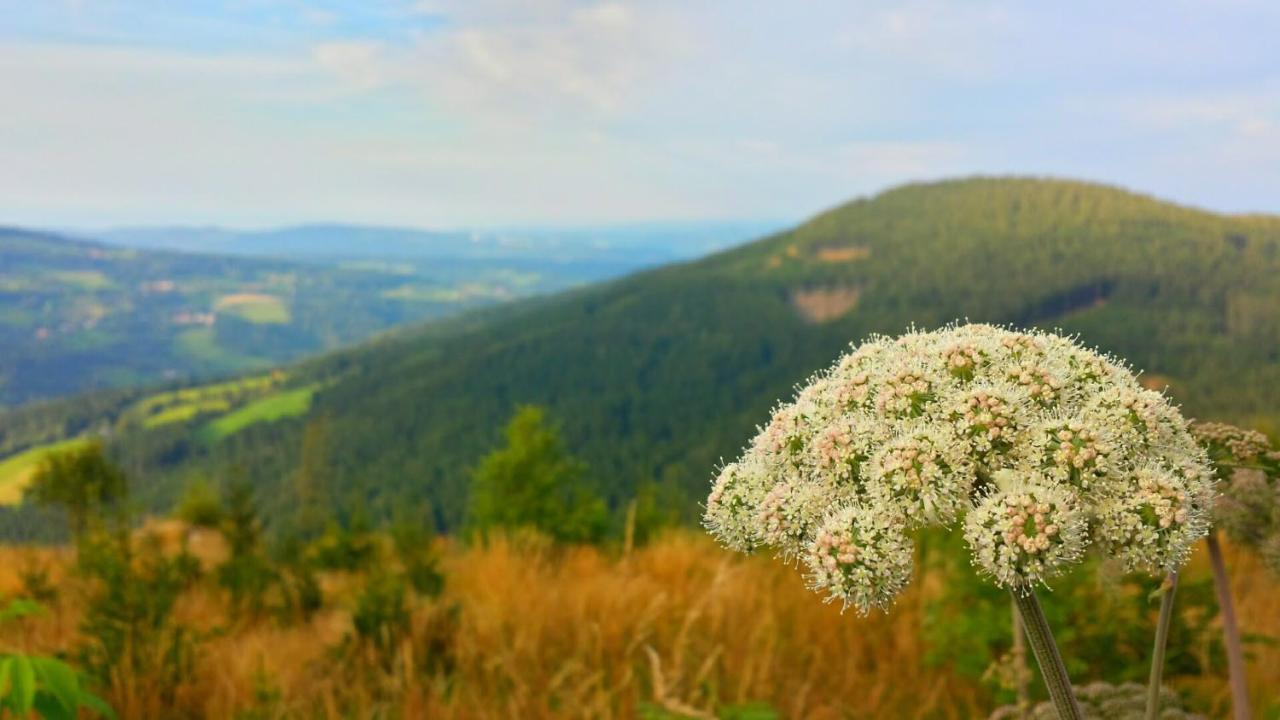 Wald-Panorama-Zimmer Acomodação com café da manhã Mönichkirchen Exterior foto